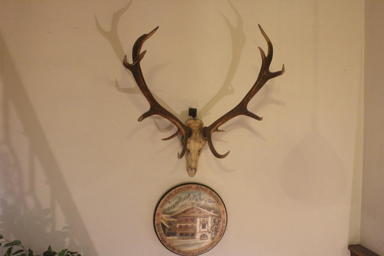 Hotel Gasthof Mauth Sankt Johann in Tirol Zewnętrze zdjęcie